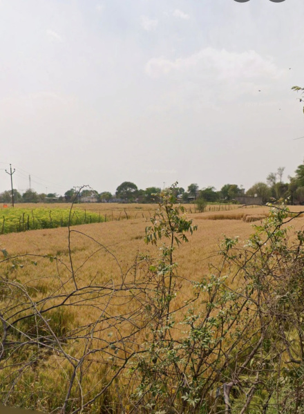 Agra Road, Dausa photo 3