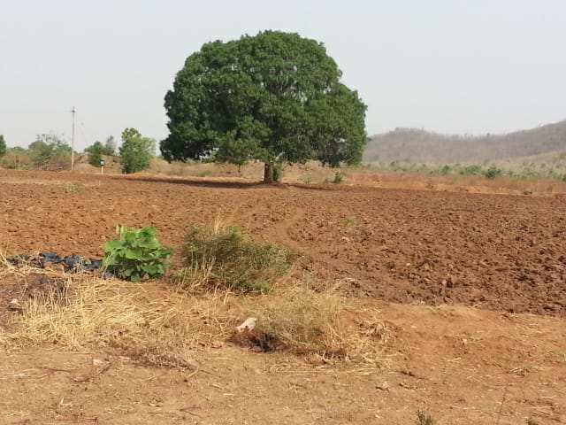Agricultural Land 10 Acre for Sale in Dharpally, Nizamabad