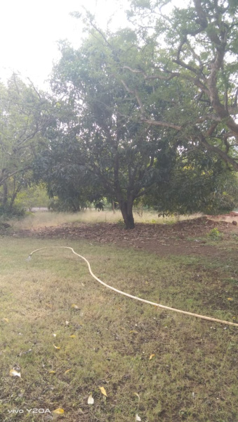  250000 Sq.ft. Commercial Land for Sale in Mandwa, Alibag, Raigad