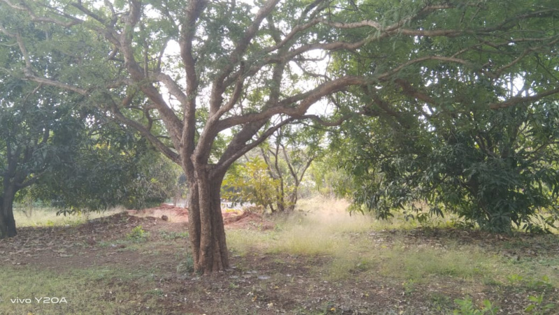  250000 Sq.ft. Commercial Land for Sale in Mandwa, Alibag, Raigad