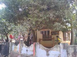 1 BHK House for Sale in Neiyyur, Kanyakumari