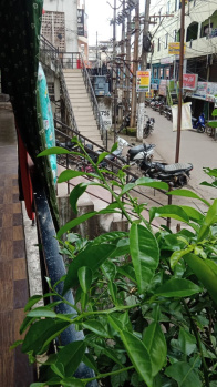  Commercial Shop for Rent in Tanuku, West Godavari