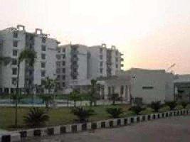 1 RK Flat for Rent in VIP Road, Zirakpur