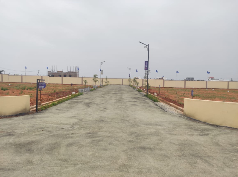  Residential Plot 1925 Sq.ft. for Sale in Pappampatti, Coimbatore