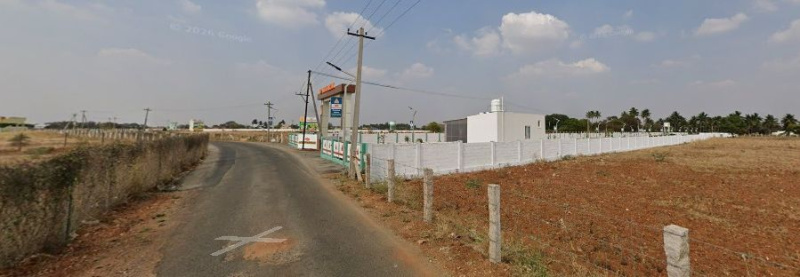 Pappampatti, Coimbatore photo 4