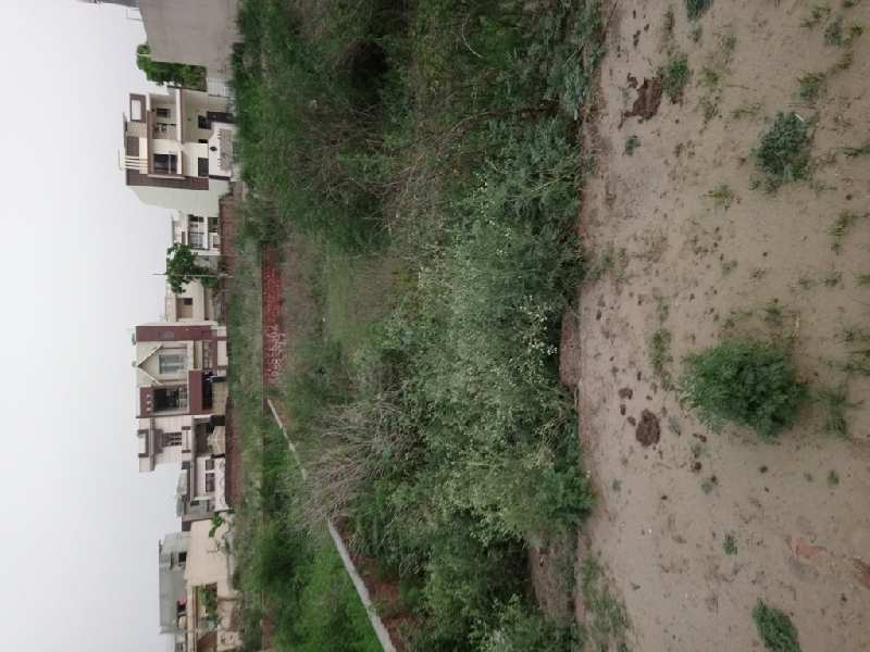 Residential Plot 278 Sq. Yards for Sale in Nabha, Patiala
