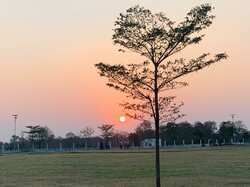  Agricultural Land 7700 Sq.ft. for Sale in Amravati Road, Nagpur