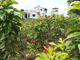  Residential Plot for Sale in Wadi, Nagpur
