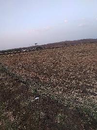  Agricultural Land for Sale in Goharganj, Raisen