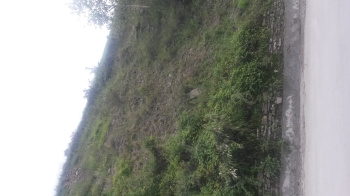  Commercial Land for Sale in Kumarsain, Shimla