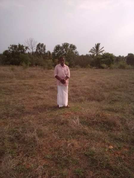 Agricultural Land 11 Acre for Sale in Madampatti, Coimbatore