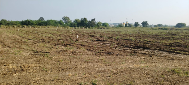  Commercial Land 2698 Sq.ft. for Sale in Jamtha, Nagpur