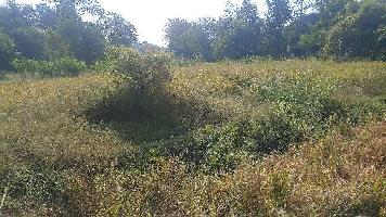  Commercial Land for Sale in Dharampur, Valsad
