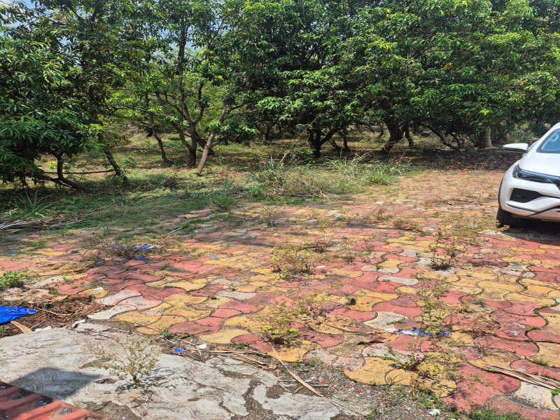  Agricultural Land 50 Acre for Sale in Bhilad, Valsad