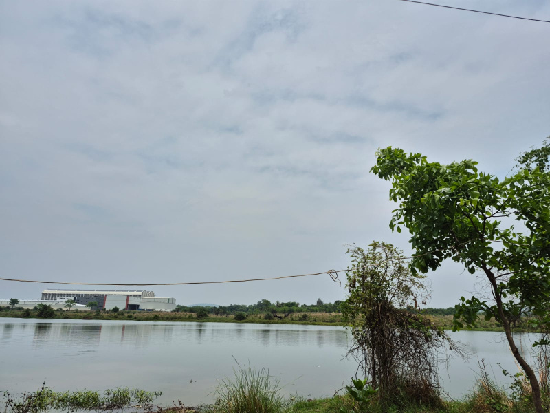  Residential Plot 2 Acre for Sale in Umbergaon, Valsad