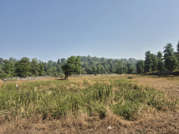  Industrial Land for Sale in Khanvel, Silvassa