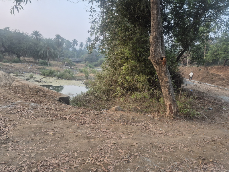 1 RK 1 Acre Farm House for Sale in Dahanu, Palghar