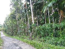  Agricultural Land for Sale in Diglipur, Andaman