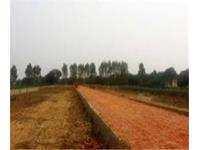  Residential Plot for Sale in Faridabad - Noida - Ghaziabad Expressway, Greater Noida