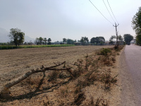 Agricultural Land for Sale in Halol, Vadodara