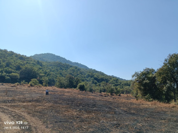Commercial Land for Sale in Mangaon, Raigad