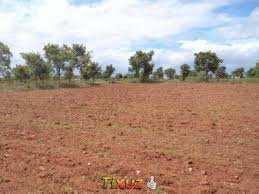  Agricultural Land for Sale in Yamuna Expressway, Mathura