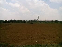  Agricultural Land for Rent in Sidlaghatta, ChikBallapur
