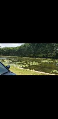  Residential Plot for Sale in Kumarapuram, Kanyakumari