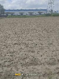  Agricultural Land for Sale in New Transport Nagar, Panki, Kanpur