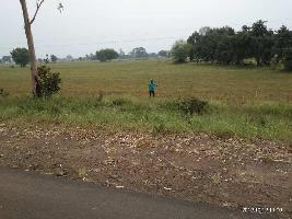  Agricultural Land for Sale in Ashta, Sehore