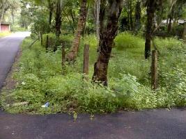  Residential Plot for Sale in Marcela, Goa