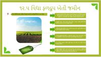  Agricultural Land for Sale in Malia, Junagadh