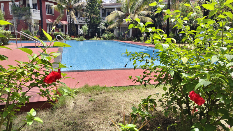 3 BHK 140 Sq. Meter Villa for Sale in Siolim, Bardez, Goa