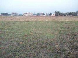  Agricultural Land for Sale in Bankra, Bankura