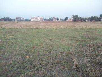 Agricultural Land 50 Bigha for Sale in Bankra, Bankura