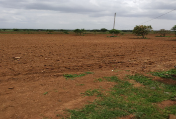  Commercial Land for Sale in Umarga, Osmanabad