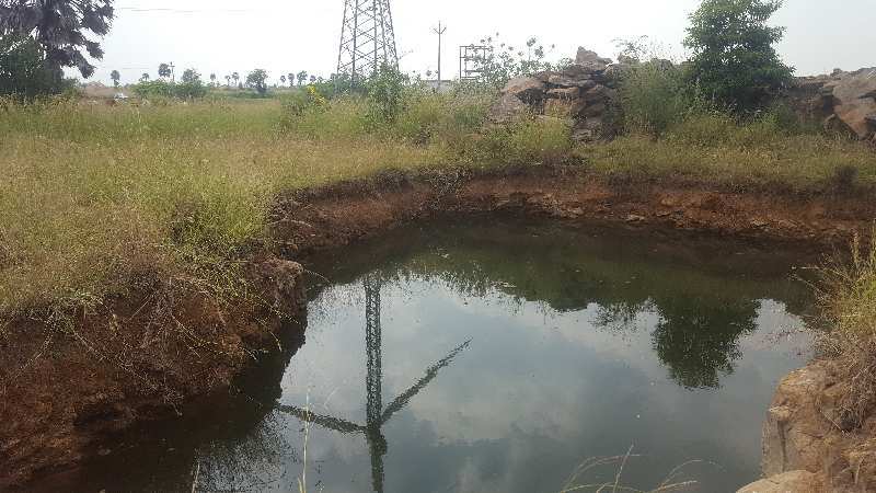 Agricultural Land 37 Acre for Sale in Ambasamudram, Tirunelveli