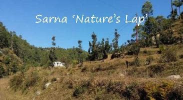  Residential Plot for Sale in Sarna Padampuri, Nainital
