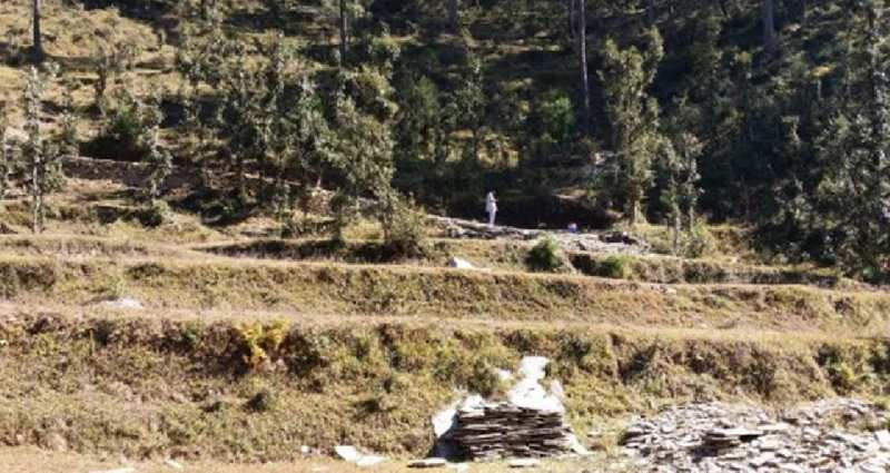  Commercial Land 9780 Sq. Yards for Sale in Sarna Padampuri, Nainital