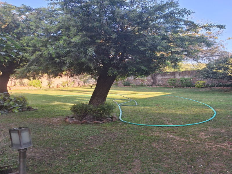 5 BHK 200 Sq. Yards Farm House for Sale in Ansal Satbari, Delhi
