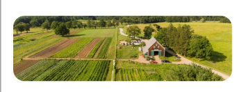  Agricultural Land for Sale in Hospet, Bellary