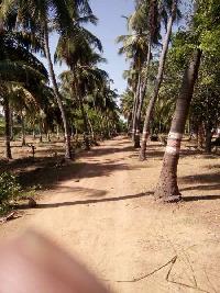  Agricultural Land for Sale in Edaikazhinadu, Kanchipuram