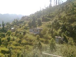  Agricultural Land for Sale in Talai, Chamba, Himachal Pradesh, Chamba, Himachal Pradesh