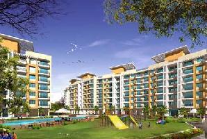 3 BHK Flat for Sale in Pipliyahana, Indore