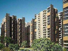 2 BHK Flat for Rent in Apollo DB City, Indore