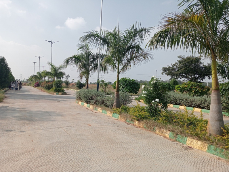  Residential Plot 130 Sq.ft. for Sale in Sector 81 Faridabad