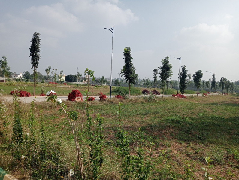  Residential Plot 170 Sq.ft. for Sale in Sector 97, Faridabad