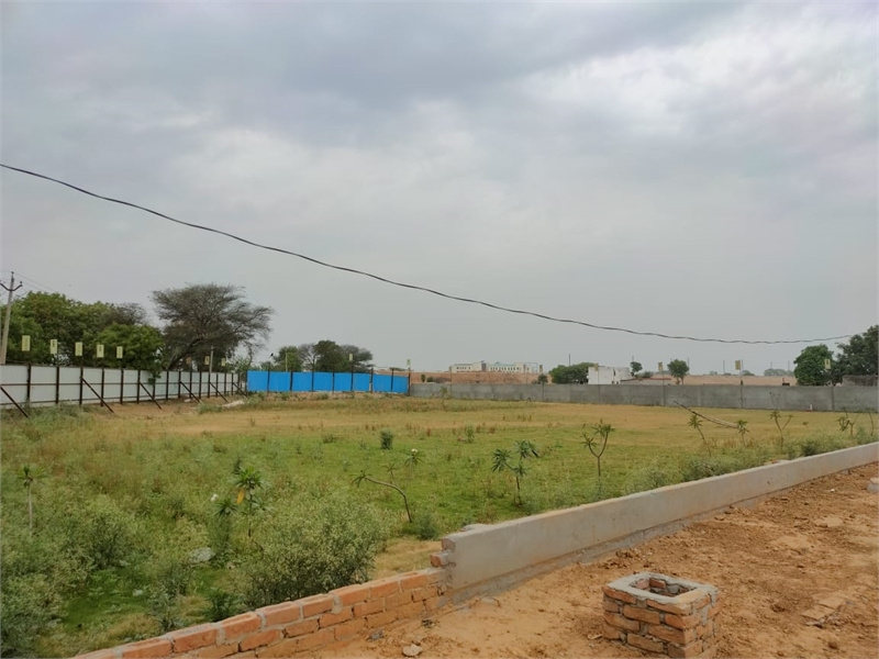  Residential Plot 125 Sq.ft. for Sale in Sector 98 Faridabad