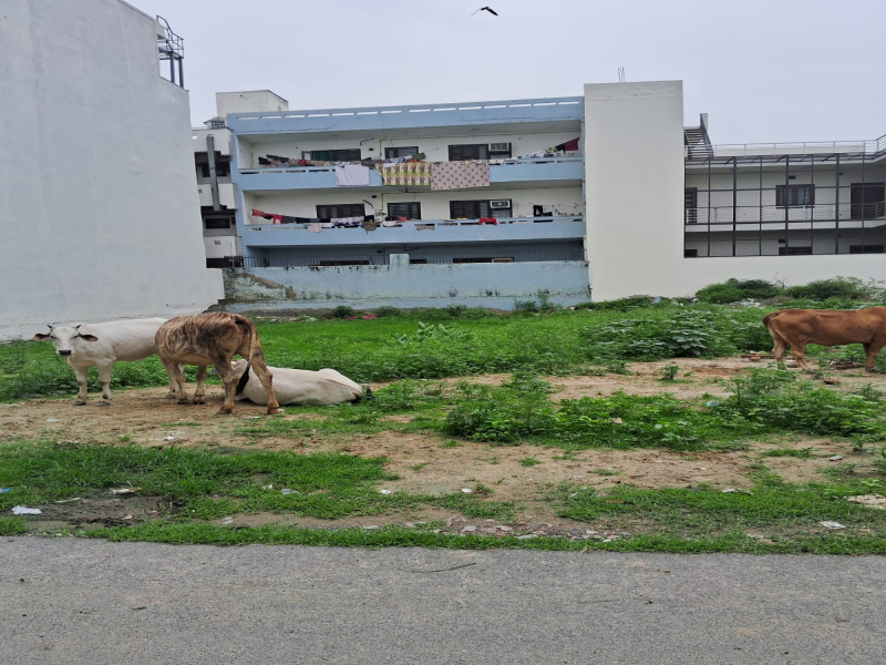  250 Sq. Yards Residential Plot for Sale in Sector 78 Faridabad