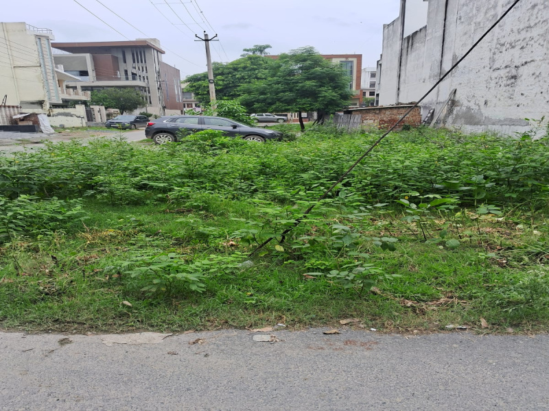  350 Sq. Yards Residential Plot for Sale in Sector 15 Faridabad